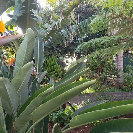City View Gardens Funchal  Luaran gambar