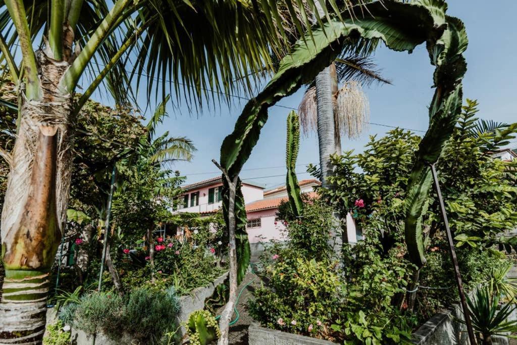 City View Gardens Funchal  Luaran gambar