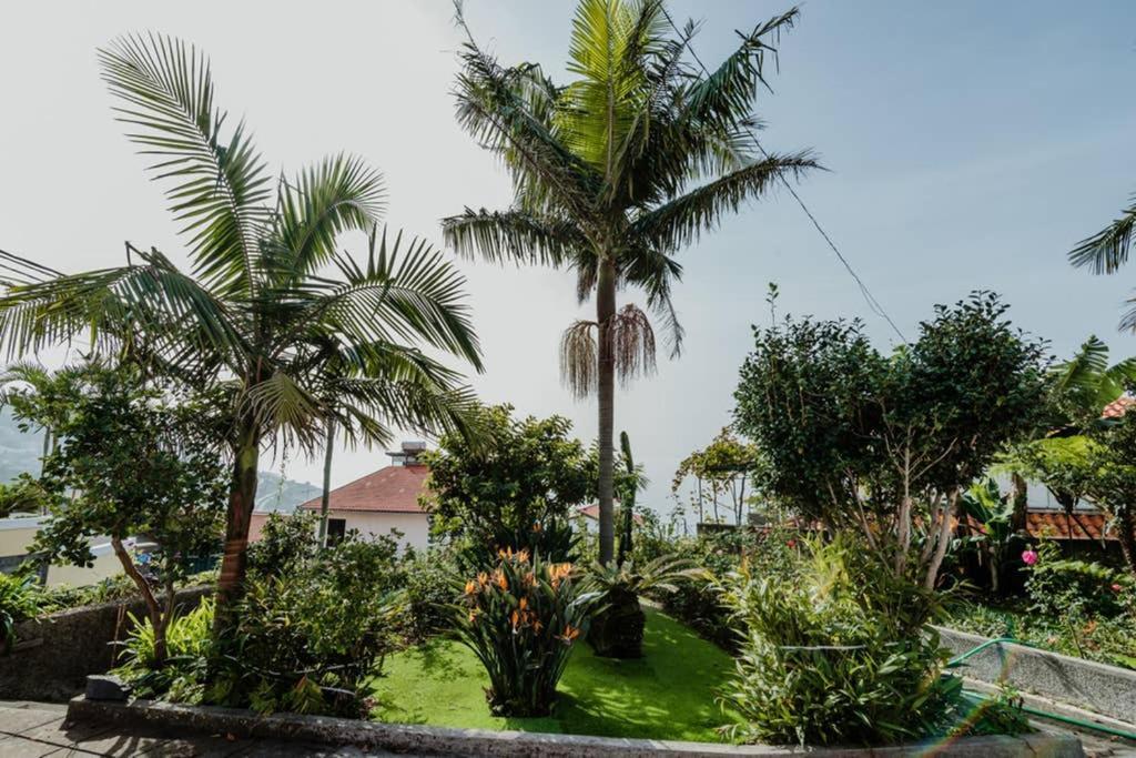 City View Gardens Funchal  Luaran gambar