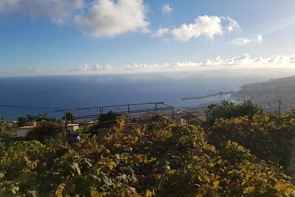 City View Gardens Funchal  Luaran gambar