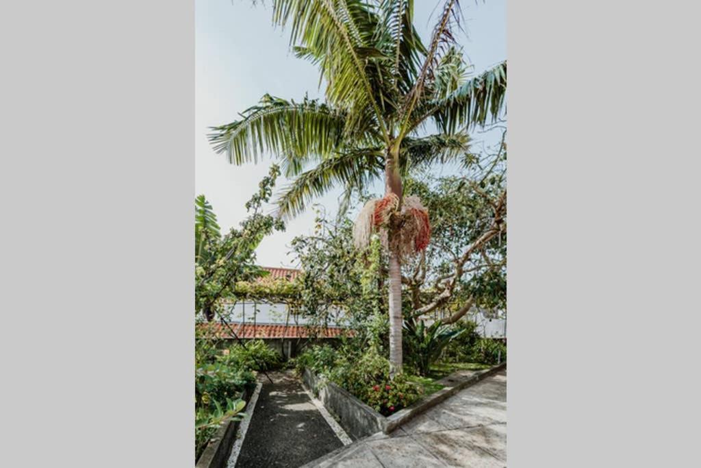 City View Gardens Funchal  Luaran gambar