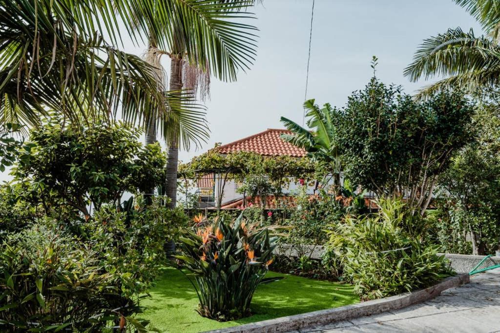 City View Gardens Funchal  Luaran gambar