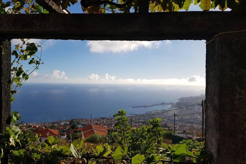 City View Gardens Funchal  Luaran gambar